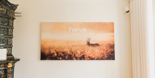 Forus Oy:n tiloissa on akustoiva taulu, jonka kuva-aiheena on utuisella niityllä käyskentelevä peura.